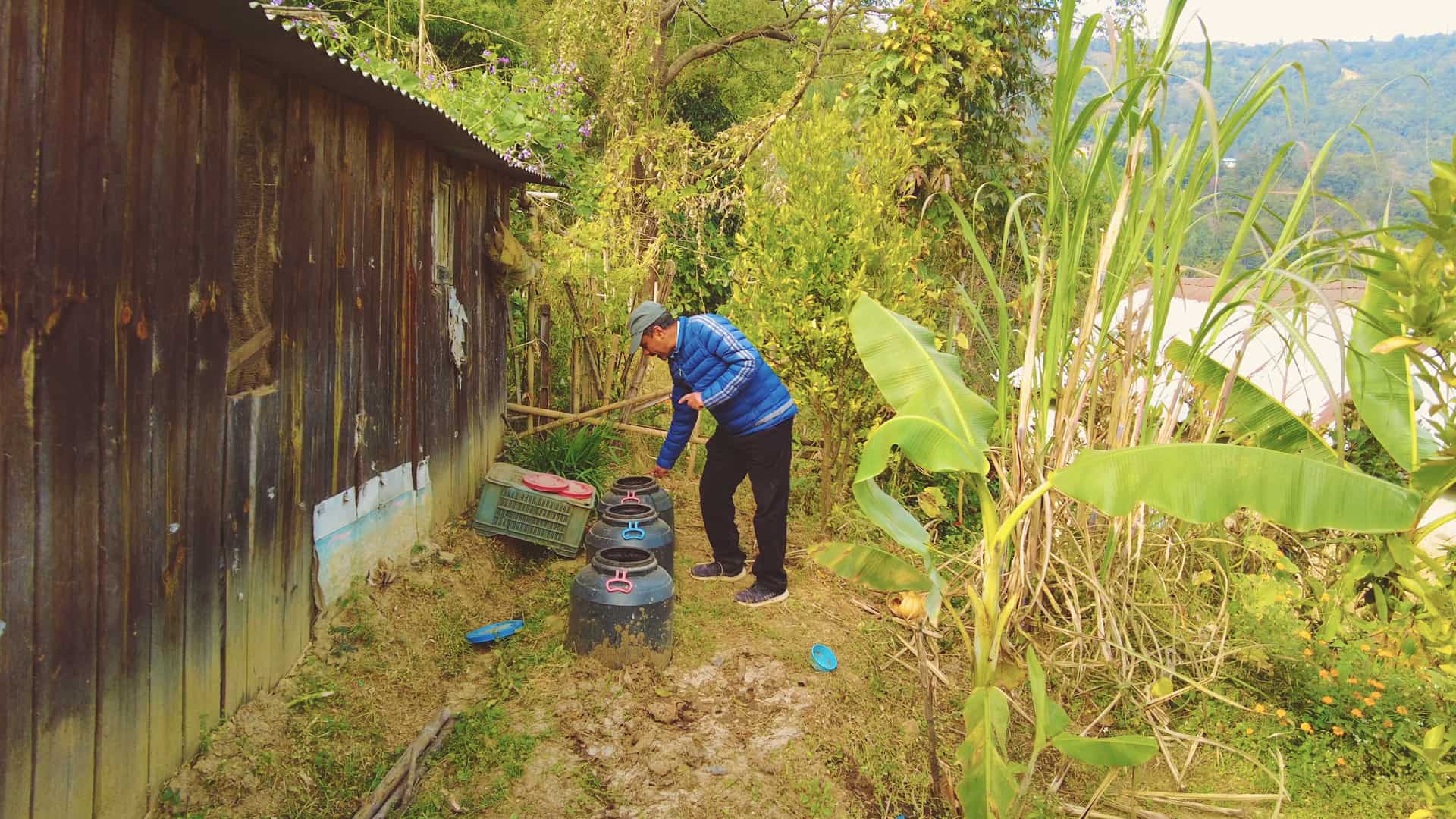 Indblik fra Nepal: Tre typer af biopesticider